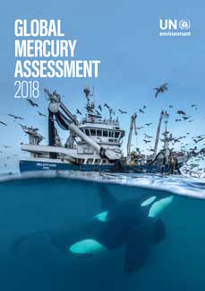 Global Mercury Assessment 2018