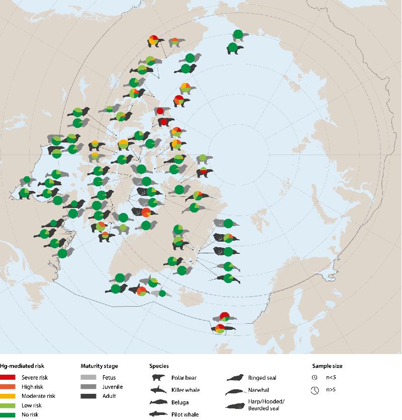 Figure 4.3 Geographical overview of the proportion of individuals of specific...