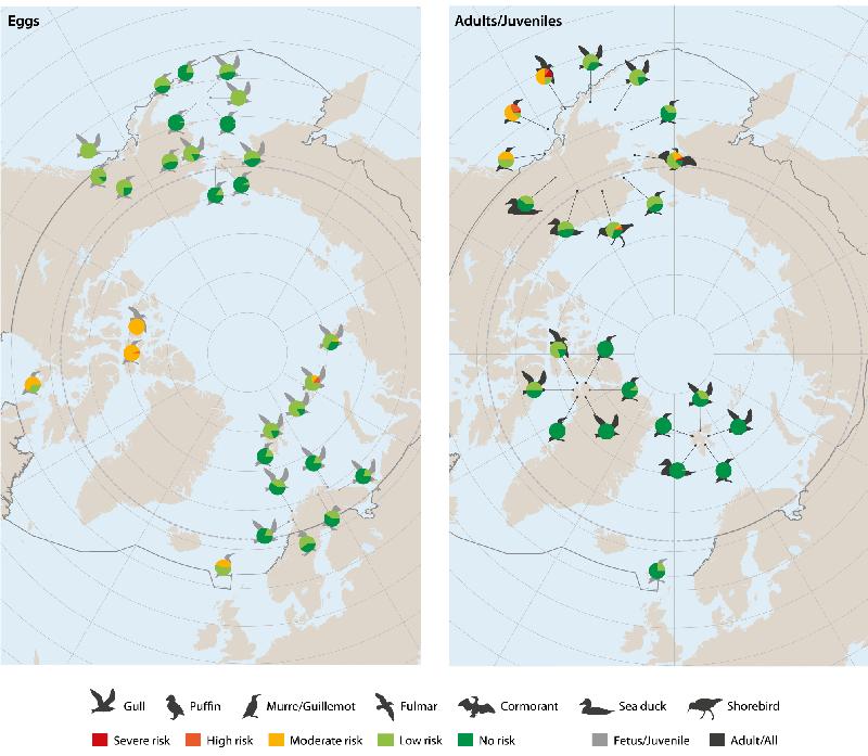 Figure 4.6 Geographical overview of the proportion of individuals of specific...