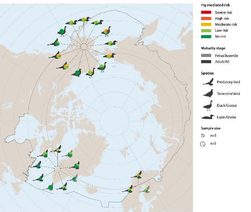 Figure 4.8 Geographical overview of the proportion of individuals of specific...