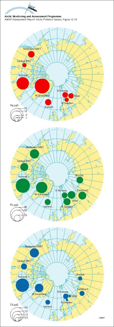Geometric mean concentrations of mercury, lead and cadmium in maternal whole...