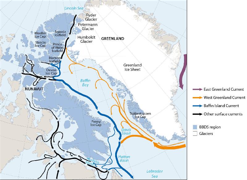 Figure 2.4 Major surface ocean currents (black lines) and bathymetric features...
