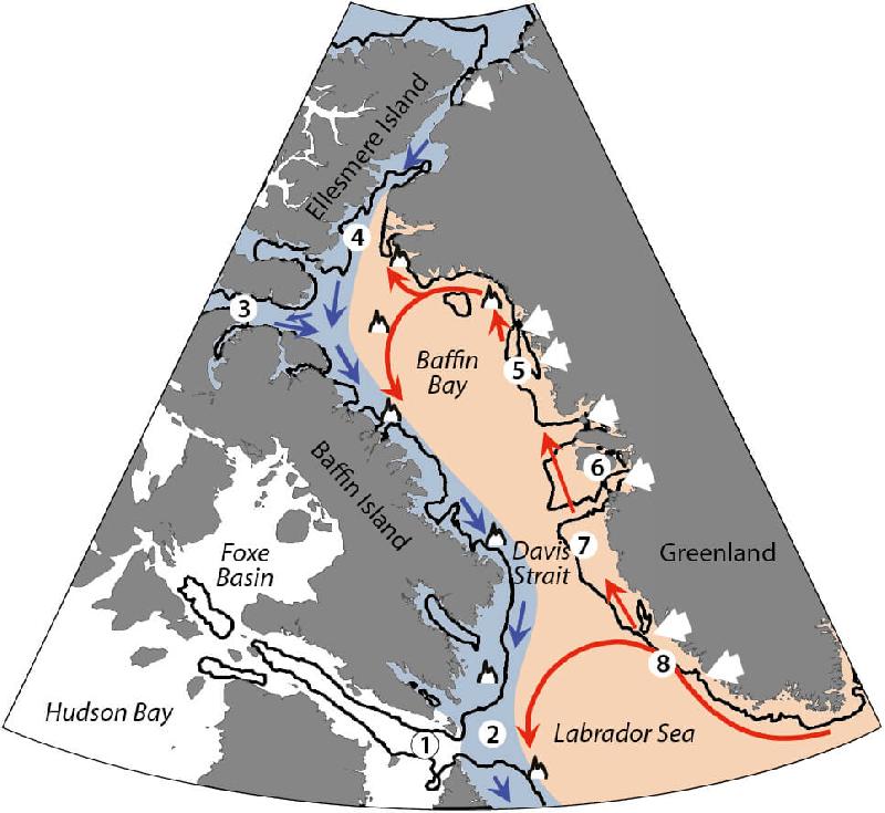 Figure 6.1 Map of the two major ocean current systems in the BBDS region...