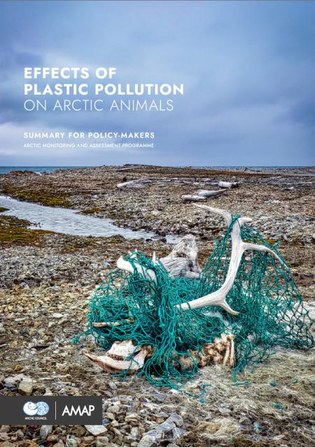 Report cover