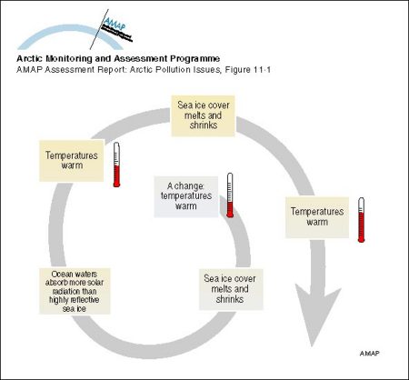 feedback loop examples