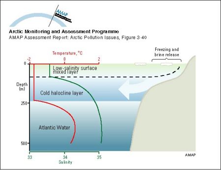 ocean salinity halocline arctic layer temperature structure water brine representation schematic maintained upper shelves produced rich amap